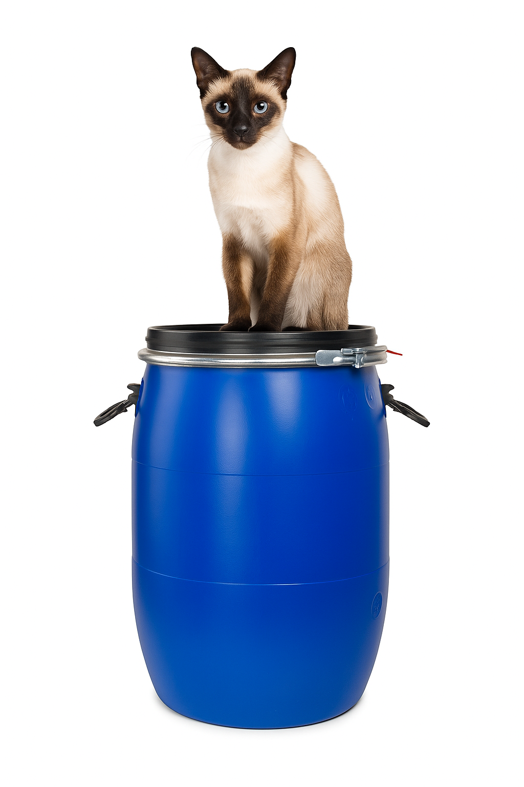 30 Ltr Blue Battery Barrel